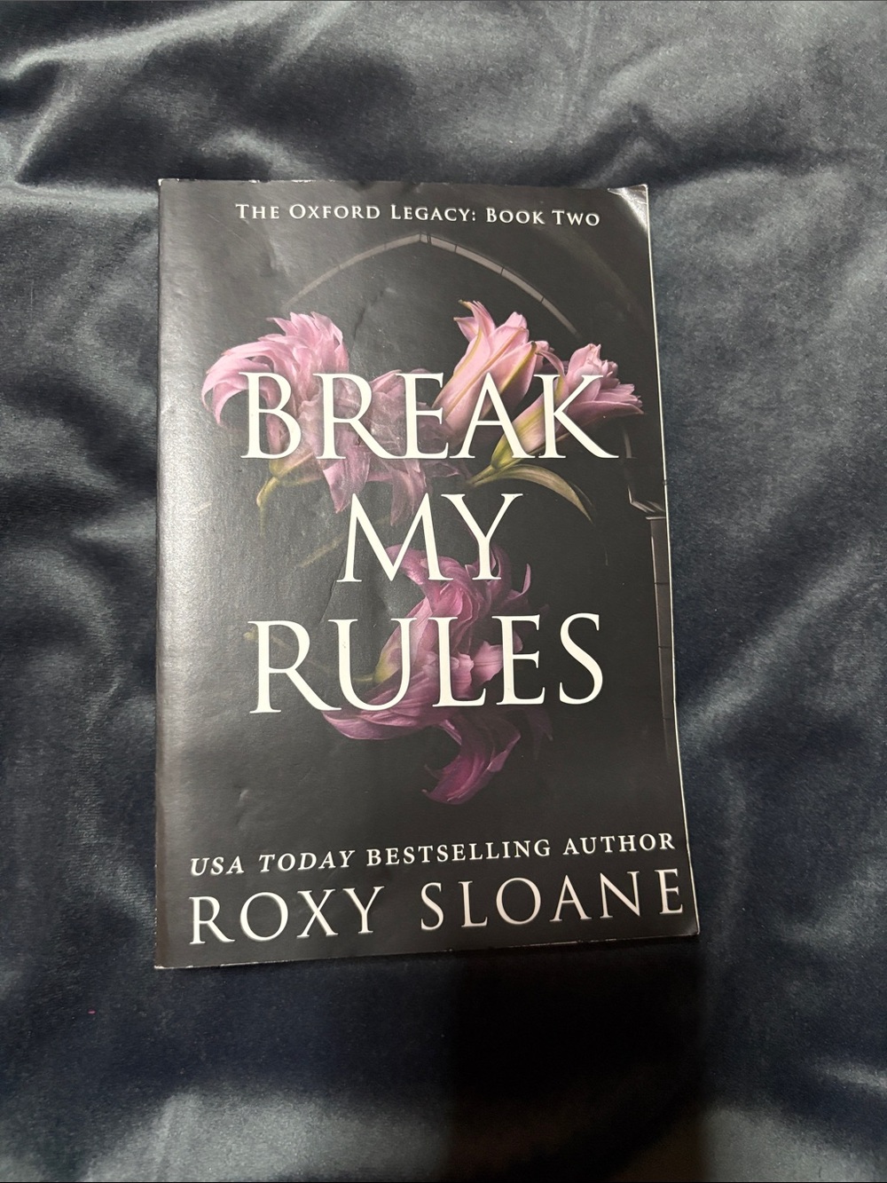 Break My Rules - Black & Purple Paperback
